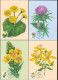 Moldova 2024 Wild Flowers 6 Maxicards - Moldova