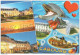 14 - Calvados : Lot De 50 Cartes Postales Correspond Aux Plus Anciennes Cartes En Vente Dans Ma Boutique - 5 - 99 Postkaarten