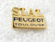 PIN'S    PEUGEOT  SIAL   TOULOUSE   Zamak  PICHARD - Peugeot