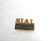 PIN'S    PEUGEOT  SIAL   TOULOUSE   Zamak  PICHARD - Peugeot