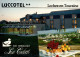 N°1163 Z -cpsm Loches En Touraine -Luccotel- - Hotel's & Restaurants