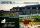 N°1163 Z -cpsm Loches En Touraine -Luccotel- - Hotels & Restaurants