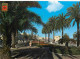 Maroc - Tanger - Avenue D'Espagne - CPM - Carte Neuve - Voir Scans Recto-Verso - Tanger