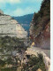 26 - Drome - Vercors - Route De Villard-de-Lans Aux Grands Goulets - Carte Neuve - CPM - Voir Scans Recto-Verso - Les Grands Goulets