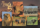 South Africa - The Big 5 - Nice Stamp "train" - South Africa