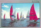 33 - Carcans - Maubuisson - Le Centre U.C.P.A De Bombannes - Catamarans - Voiles - CPM - Voir Scans Recto-Verso - Carcans