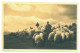RO 74 - 20440 SIBIU, Mountain Cibin, Shepherd, Romania - Old Postcard, Real Photo - Unused - 1937 - Rumänien
