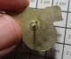 1618B Pin's Pins / Beau Et Rare : SPORTS / FOOTBALL AMERICAIN - Football