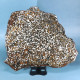 Meteorite Pallasite 823 Gr - Archeologia