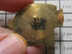 1618B Pin's Pins / Beau Et Rare : ANIMAUX / POISSON TROPICAL RUTO - Animals