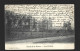 Yvoir Les Chalets Bords De La Meuse Cachet 1905 Waulsort Htje - Yvoir