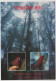 Australia VICTORIA VIC Rosellas & Mountain Ash Sherbrooke Forest DANDENONGS MELBOURNE Postcard 1999 45c Artist Stamp - Melbourne