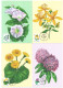 2024 , Moldova , Wild Flowers, Flora, Set 6 Maxicards - Moldova