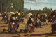 VOYAGE DU ROI AU CONGO  ÉTÉ 1955 La Danse Dite La Prestigieuse Du Corps De Ballet Du Mwami Du Ruanda - Congo Belge