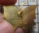 1618B Pin's Pins / Beau Et Rare : MUSIQUE / DISCOTHEQUE PAPILLON DANCING HEIDEN - Musique