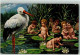 13502702 - Storch Babys Seerosen G.-A. Novellty Art Series Nr 840 - Thiele, Arthur