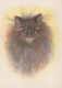 GATTO KITTY Animale Vintage Cartolina CPSM #PBQ950.A - Gatti