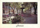 84 - Pertuis - Fontaine - Automobiles - CPM - Voir Scans Recto-Verso - Pertuis