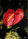 Antilles - Fleurs Des Antilles - Anthurium - Carte Neuve - CPM - Voir Scans Recto-Verso - Autres & Non Classés