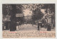 39092702 - Bad Nauheim. Bismarckstrasse Gelaufen, 1903. Ecken Mit Albumabdruecken, Leicht Buegig, Leicht Fleckig, Sonst - Bad Nauheim