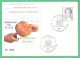 Repiquage "FESTA DELLA BENEDIZIONE DEL PANE" ROBEGANO (VE) Anno 2000 Su Intero Postale Donne Nell'arte 800 Lire - Stamped Stationery