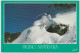 Australia VICTORIA VIC Snow Skiing FALLS CREEK Pmk Nucolorvue Postcard Posted 1998 45c Stamp - Other & Unclassified