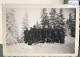 Soldats Bûcherons En Forêt Et Sous-officiers En Caserne  - Demi Véhicule Années 1930 (16'750) - Grecia