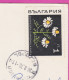 310953 / Bulgaria - Sozopol - 5 View  PC 1970 USED 1 St. Medicinal Plant - Matricaria Chamomilla (Matricaria Recutita) - Medicinal Plants