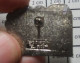 1618A Pin's Pins / Beau Et Rare : TRANSPORTS / TRAIN LUXEMBOURG BLANKENBERG EXPRESS - Transportation