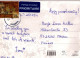 LEÓN Animales Vintage Tarjeta Postal CPSM #PBS028.ES - Lions