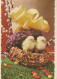 PASCUA POLLO HUEVO Vintage Tarjeta Postal CPSM #PBP228.ES - Ostern