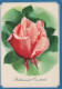 FLEURS Vintage Carte Postale CPSM #PAS333.FR - Fleurs
