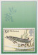 FISCH Tier Vintage Ansichtskarte Postkarte CPSM #PBS867.DE - Fische Und Schaltiere