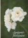 FIORI Vintage Cartolina CPSM #PBZ562.IT - Blumen