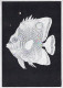 PESCE Animale Vintage Cartolina CPSM #PBS868.IT - Fish & Shellfish