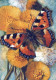 FARFALLA Animale Vintage Cartolina CPSM #PBS470.IT - Butterflies