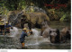 North Thailand Thailande Elephants Enjoy Their Morning Bath Eléphants Au Bain Du Matin VOIR DOS - Elefantes