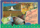 AFRIQUE DU SUD. ROUTE DES VINS. CARTE. TIMBRES. 1996. - Südafrika