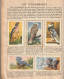 Album FRANCORUSSE  Oiseaux Et Papillons ( Complet ) - Albums & Catalogues