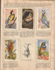 Album FRANCORUSSE  Oiseaux Et Papillons ( Complet ) - Albumes & Catálogos