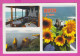 310958 / Bulgaria - Sozopol - Tavern Restaurant "Neptune" Interior , Black Sea Rock , Common Sunflower Plant PC  - Hotel's & Restaurants