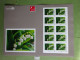 2024 ÉMISSION DU CARRÉ D'ENCRE " 1ER MAI LE MUGUET " Lettre Verte 20g ADHÉSIF COLLECTOR 10 TIMBRES NOUVEAU - Collectors