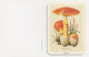 Amanita Casearea, Mushroom, France, 1997 - Petit Format : 1991-00