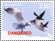 Delcampe - New Zealand 2014 MiNr. 3170 - 3174 (Block 336) Neuseeland ENDANGERED BIRDS 5v + S/sh  24,00 € - Autres & Non Classés