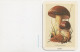 Cortinarius Praestans, Mushroom, France, 1997 - Small : 1991-00