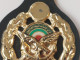 Persian, Iran , Iranian Badge Of The Iran Army  Infantry Force   نشان نیروی زمینی ارتش - Hueste