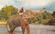 Sri Lanka - KANDY - Elephant And Mahout - Publ. Ceylon Pictorials CP-7 - Sri Lanka (Ceylon)