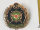 Persian, Iran , Iranian Badge Of The Iran Army  Infantry Force   نشان نیروی زمینی ارتش - Hueste