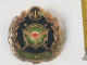 Persian, Iran , Iranian Badge Of The Iran Army  Infantry Force   نشان نیروی زمینی ارتش - Hueste