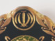 Delcampe - Persian, Iran , Iranian Badge Of The Iran Army  Infantry Force   نشان نیروی زمینی ارتش - Hueste